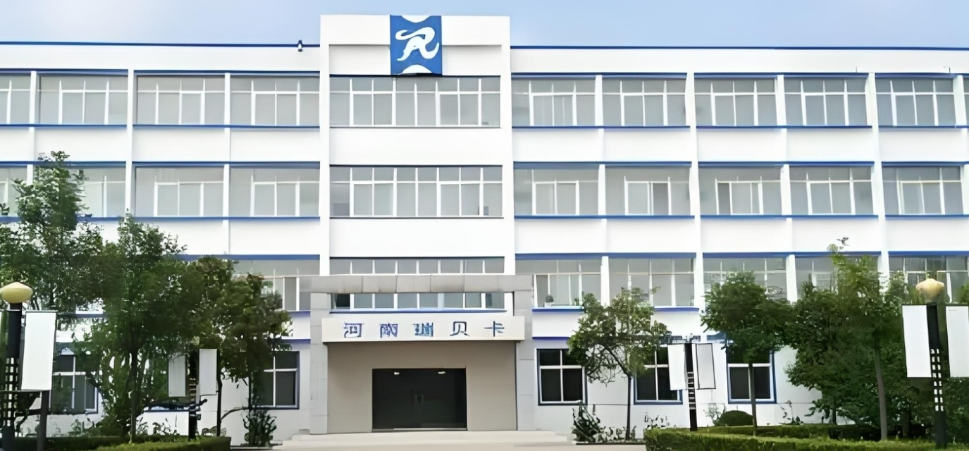 瑞贝卡1.png