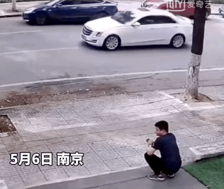 6.gif