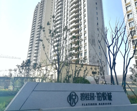 图片5.png
