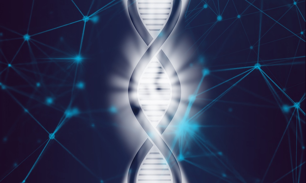 dna-4068826_1280.jpg